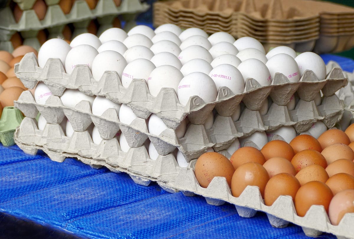 niti ayog proposal for supply of meat, eggs and fish through pds