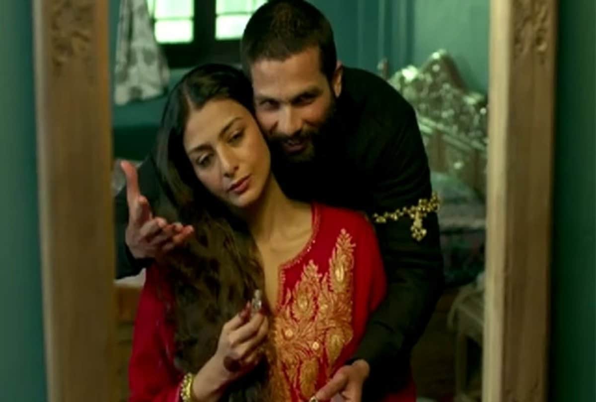 Shahid Kapoor Shraddha Kapoor Kay Kay Menon and Tabu film Haider has been ranked amongst the world Top 7 hamlets
