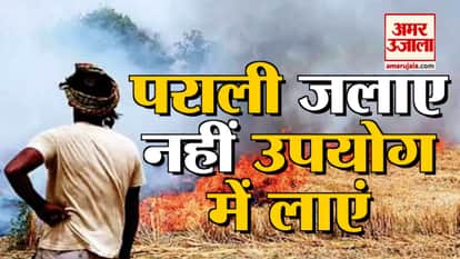 Do not burn starch, but learn better use from these farmers