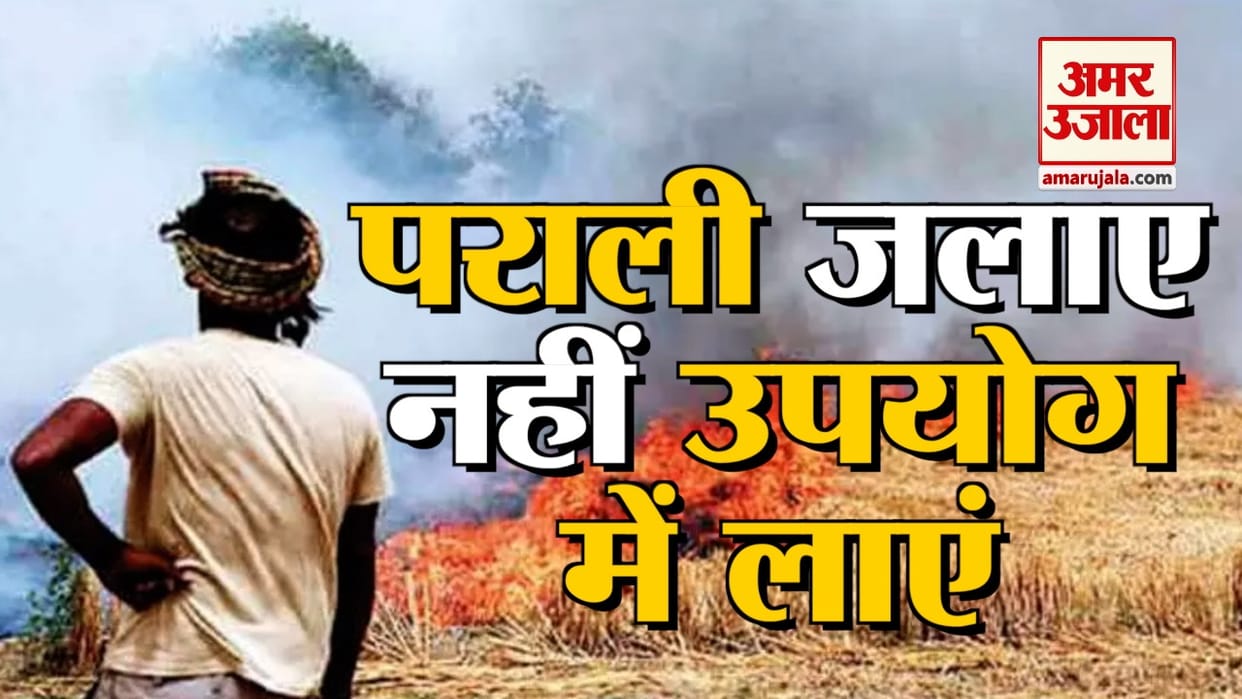 Two plants to make compressed biogas from stubble being set up in Hisar district