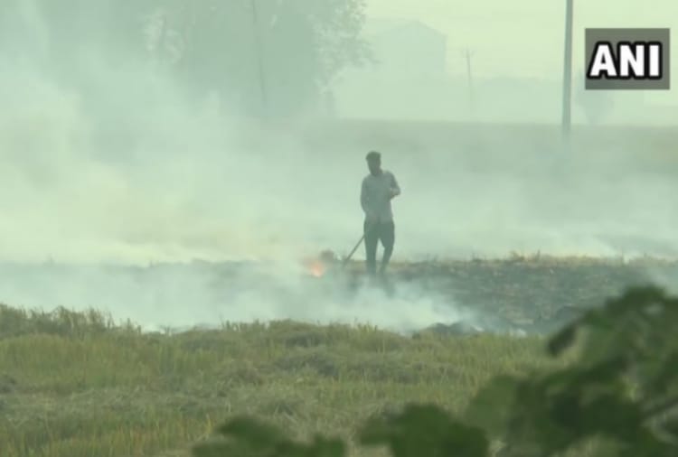 Farmers continue to burn stubble in Punjab