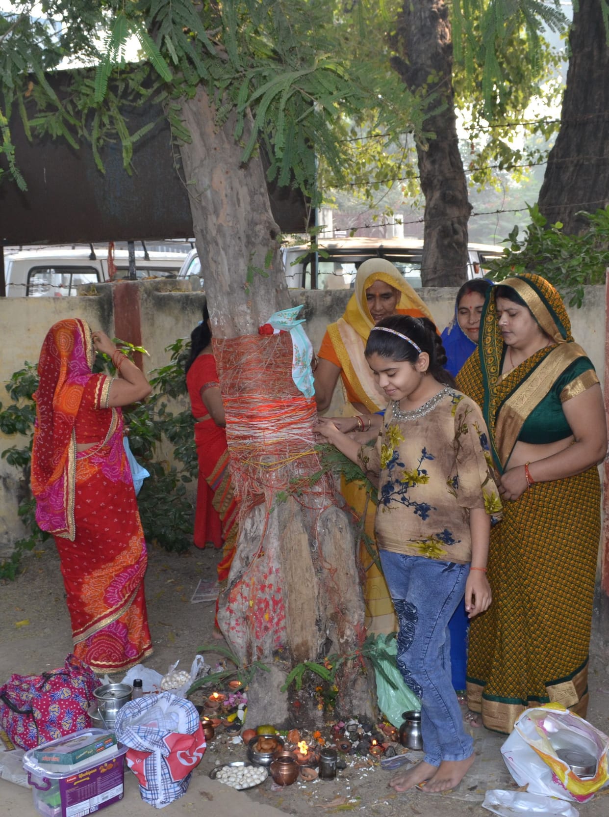 festival, celebration in etah