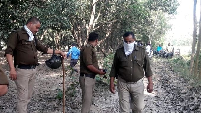 Uproar over finding skeletons of cow
