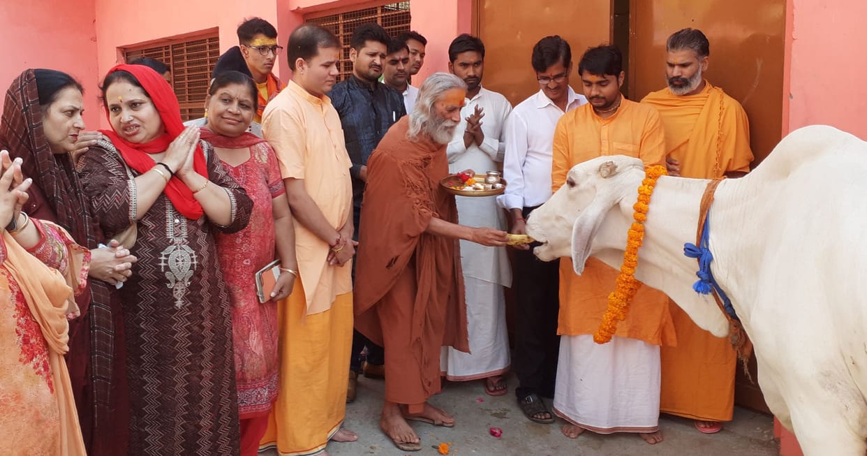 Cow is the mother of the world: Swami Omanand