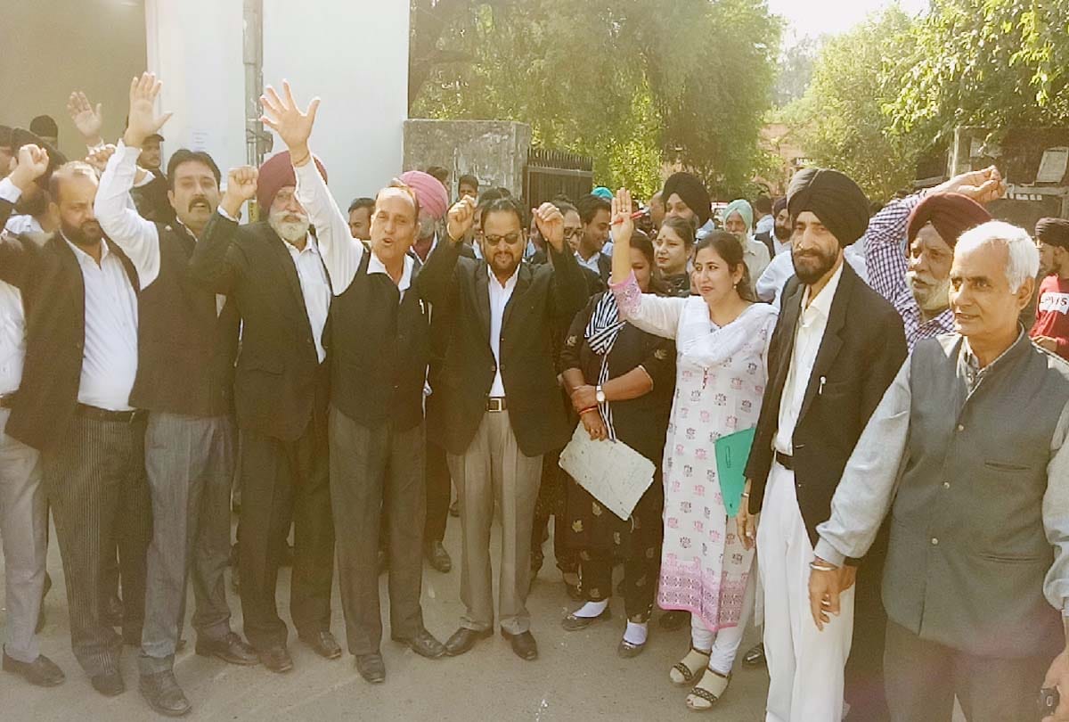 Congress support for lawyers strike in Jammu Kashmir, case of cutting 40 thousand trees heats up