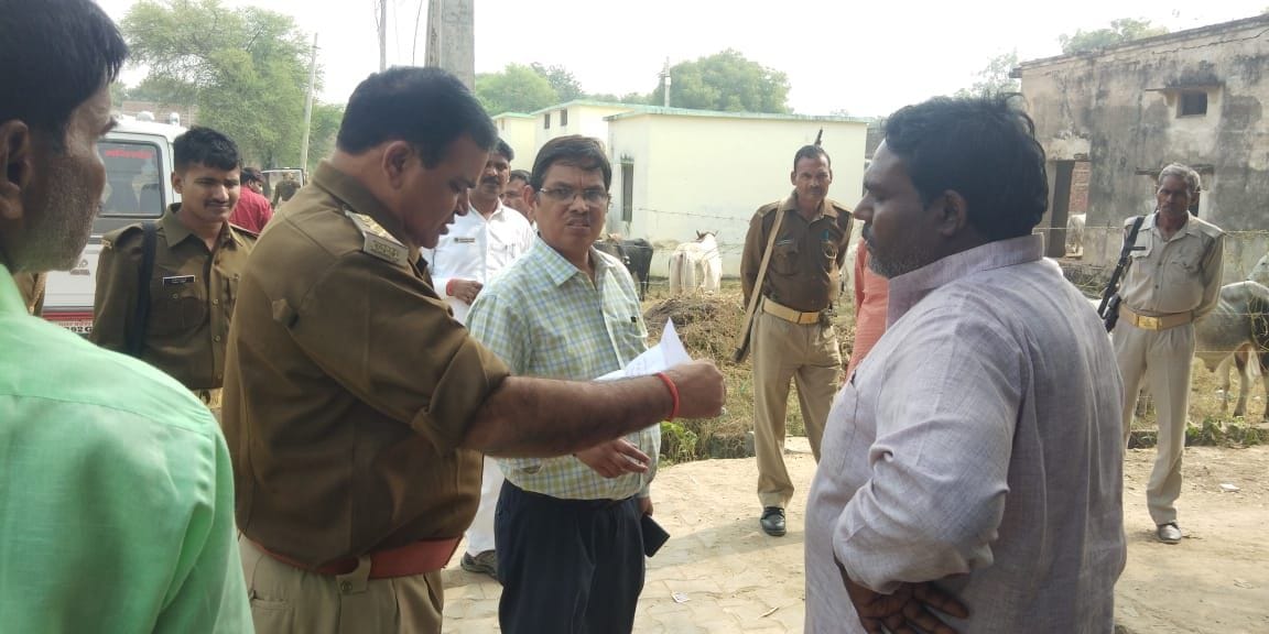 Anna cattle closed in school, report on 12