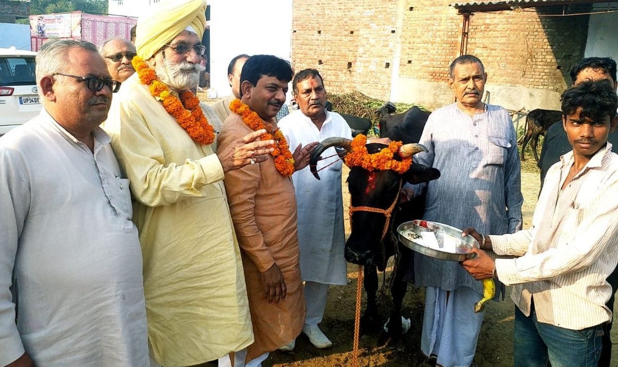 Cow worship on Gopashtami
