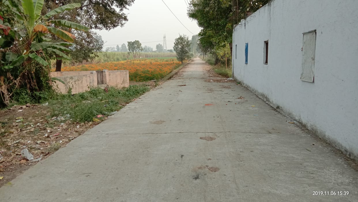 Leopard appears around the leper ashram, panic