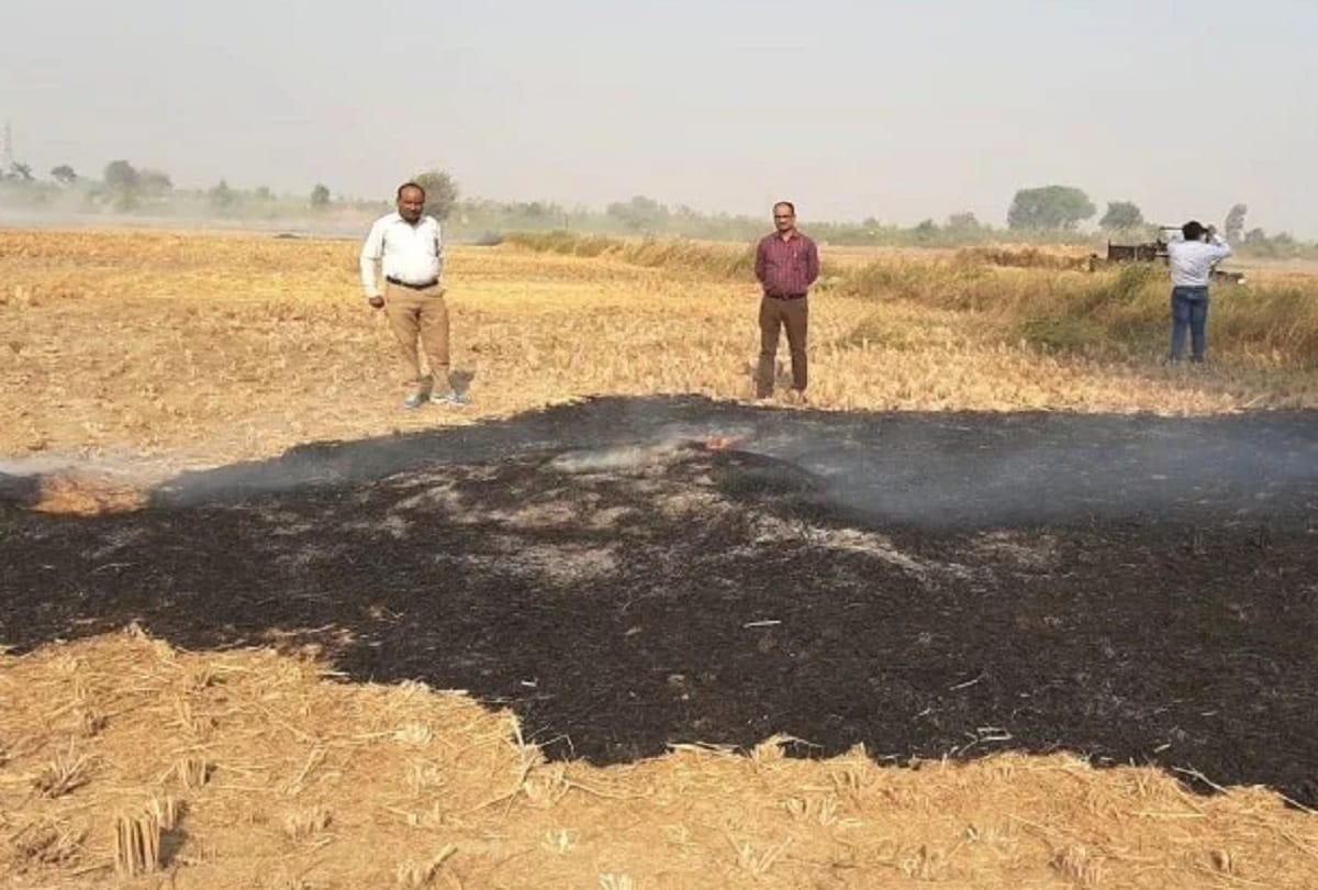 Held farmer burning stubble in aligarh