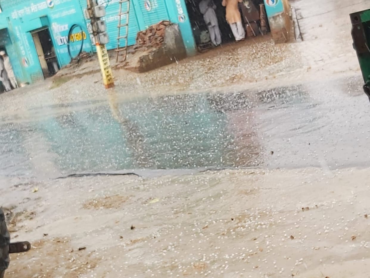heavy rain caused hailstorm damage to paddy crop