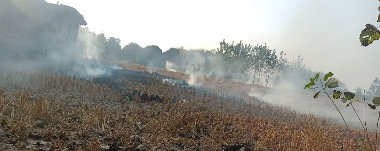 f.i.r on 7 farmers including two brothers