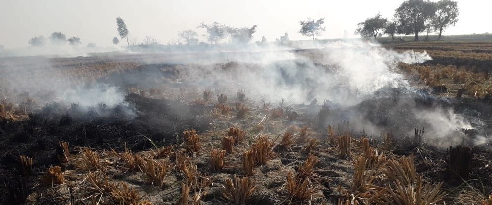 farmers didn't care, the fires strows