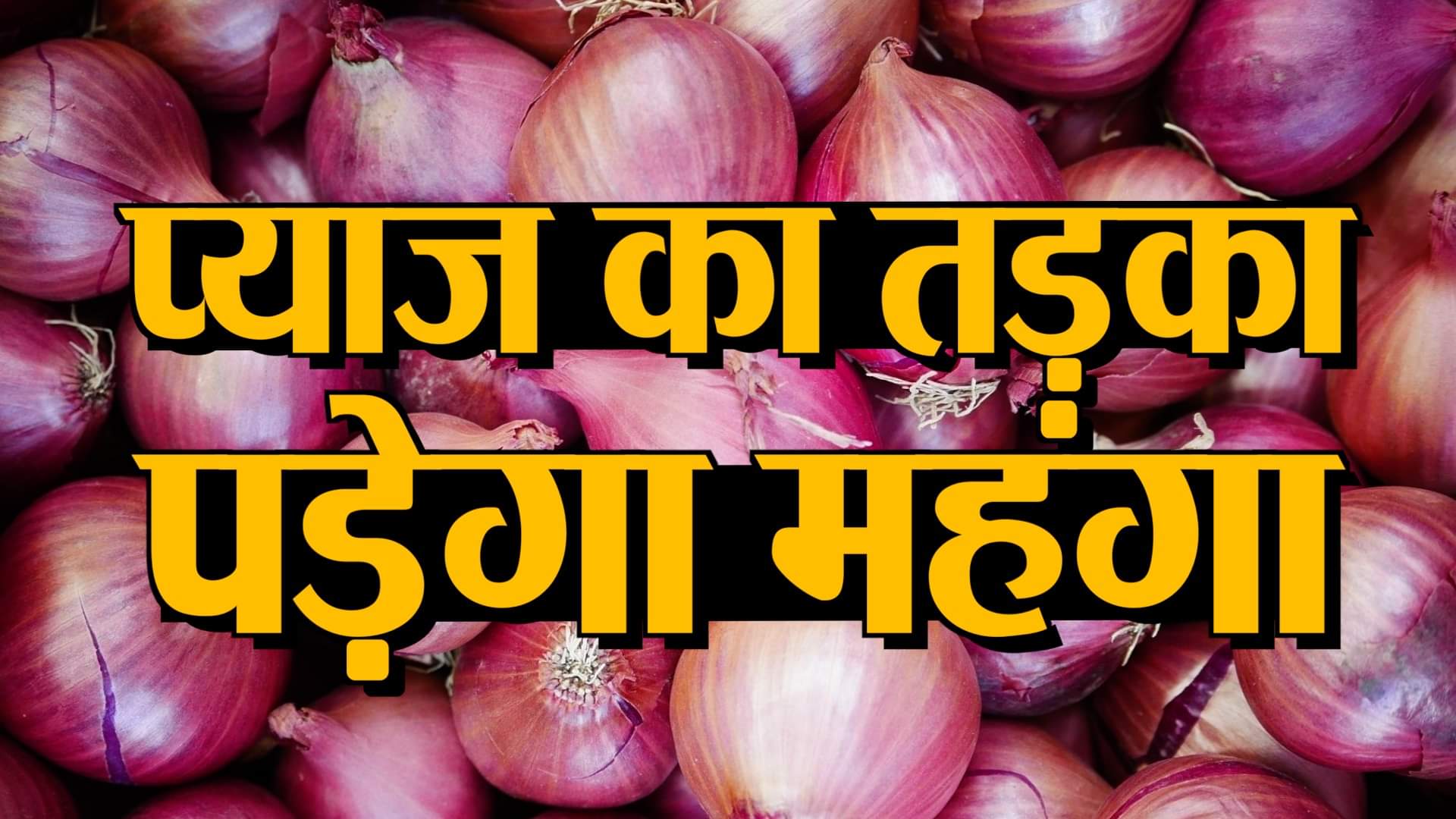 watch business news in a click including onion price may go high