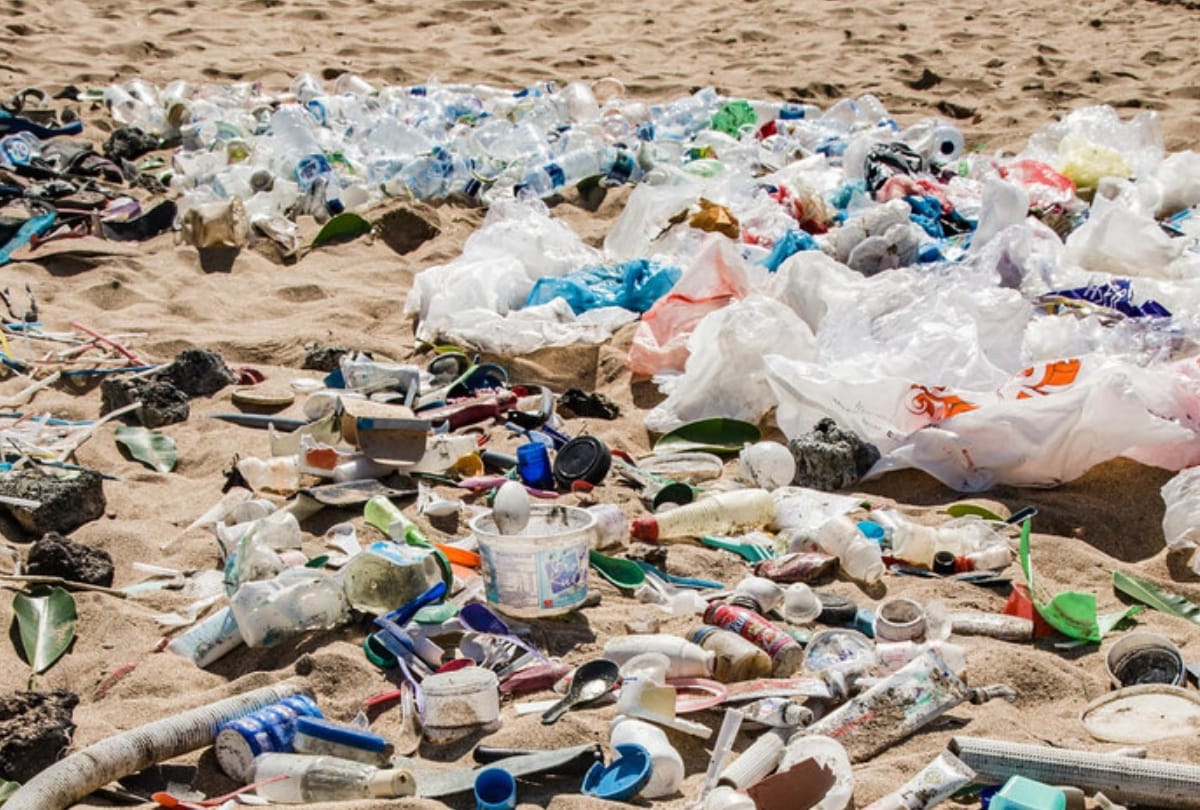 World Environment Day 2022 Don’t Do These Mistakes Will Become Environmental Enemy