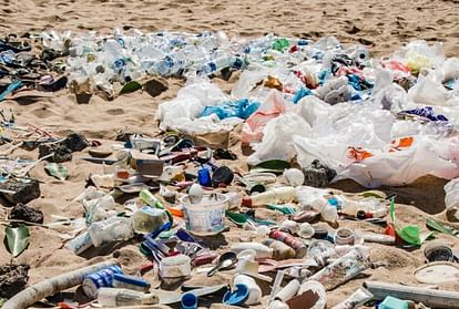 World Environment Day: Nature is returning what humans are giving, plastic reaching our blood
