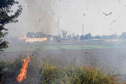 Audio on Announcement about stubble burning went viral in bathinda