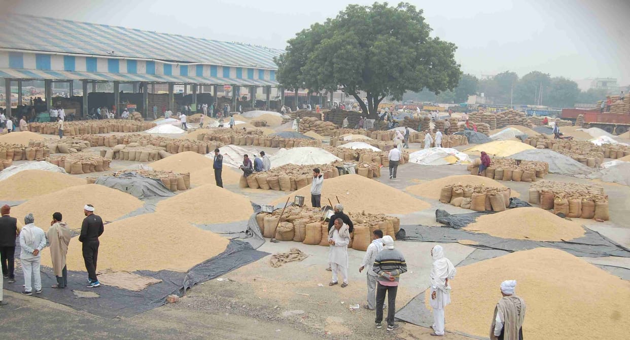 farmers upset due to rain
