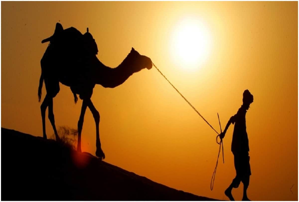 visit world's largest camel fair in pushkar and ajmer sharif dargah