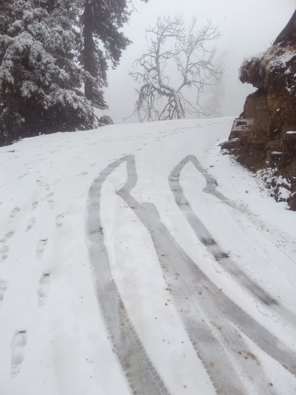 snowfall in aani valley