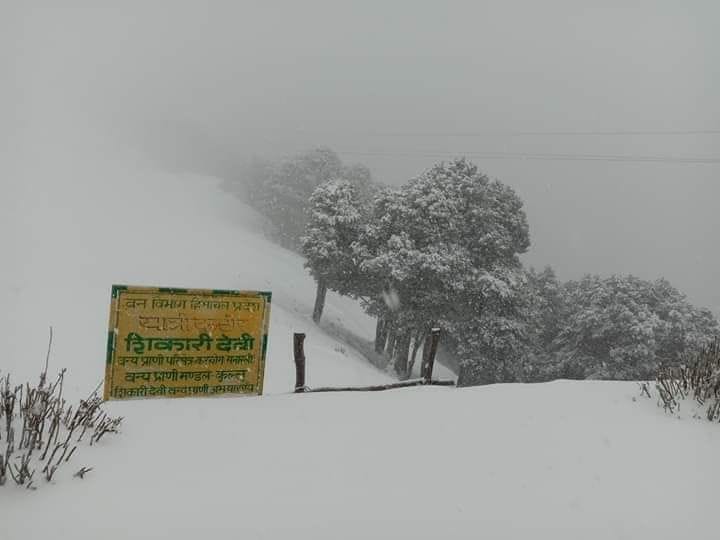 snowfall in mandi