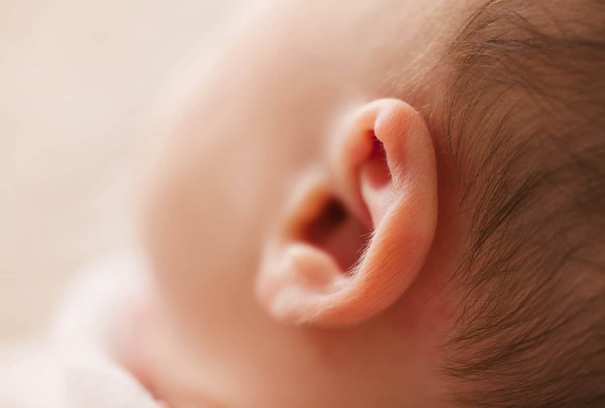Doctors removes family of cockroaches living inside a mans ear in China