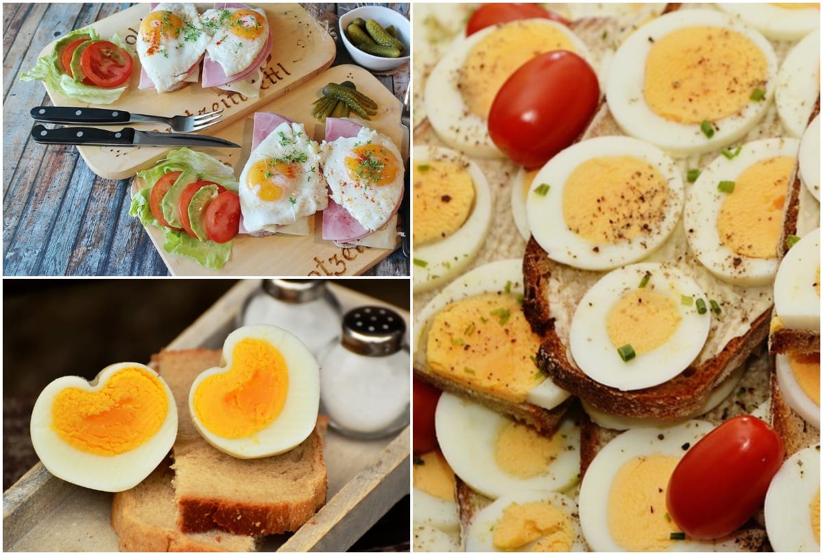 Eggs and Diabetes are eggs good for diabetes patients