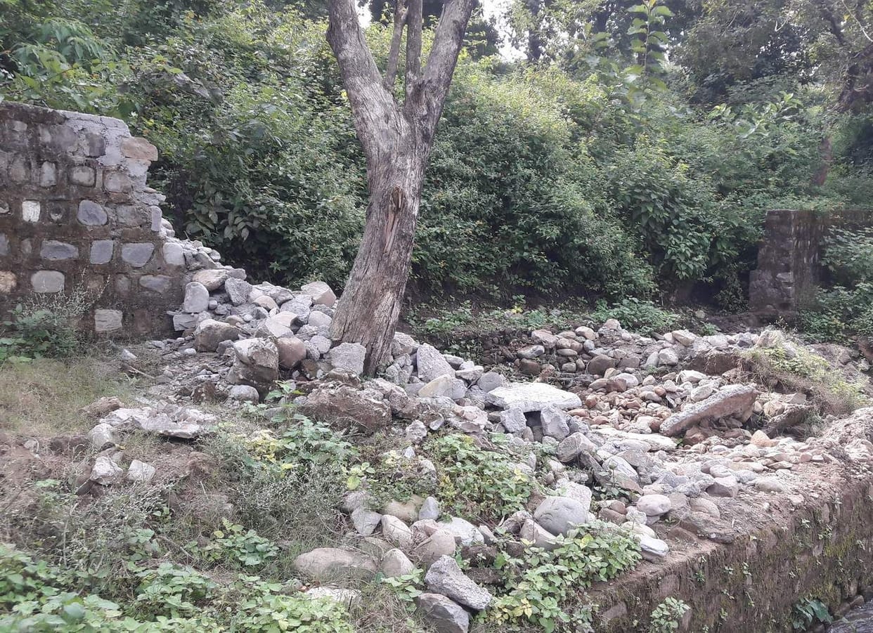 Heavy on people ignoring forest department
