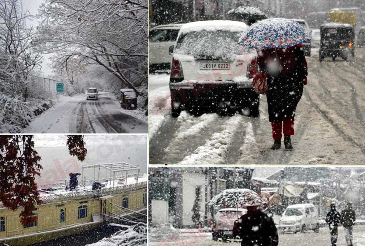 Avalanche and snowfall caused havoc, three dead including two army man on LoC, over 100 trees fell