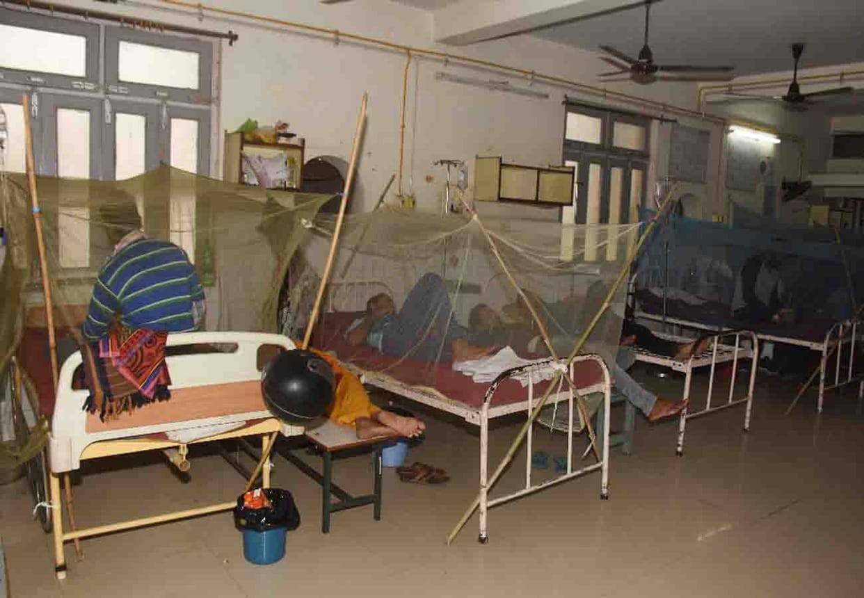 Eight people died of dengue in kanpur
