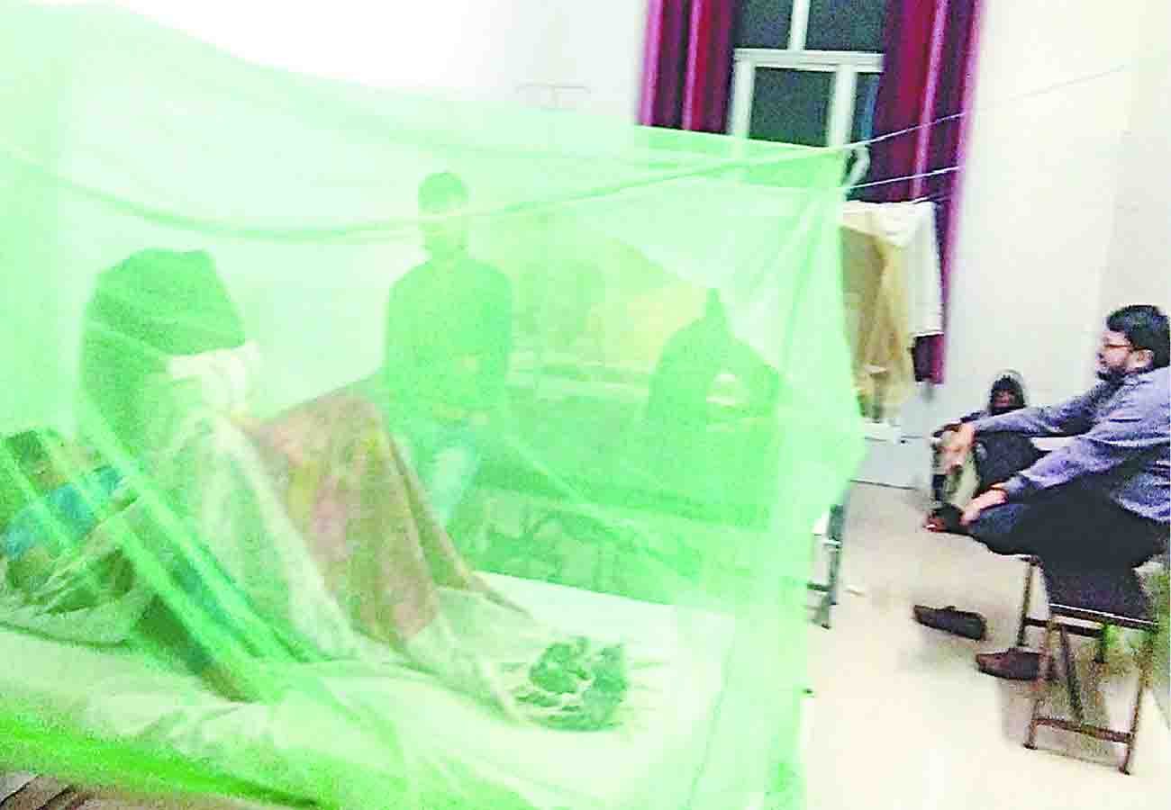 Eight people died of dengue in kanpur