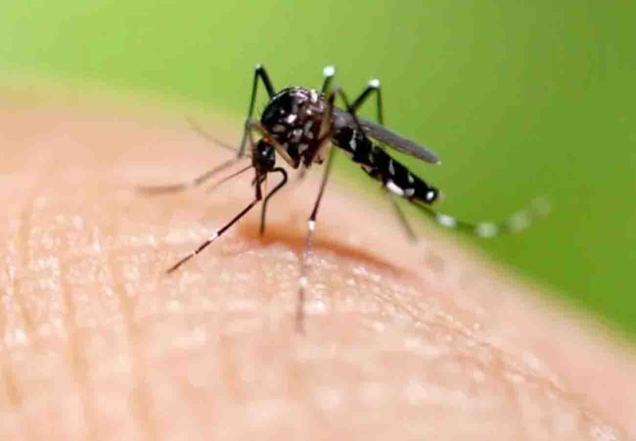 teacher died due to dengue in kannauj