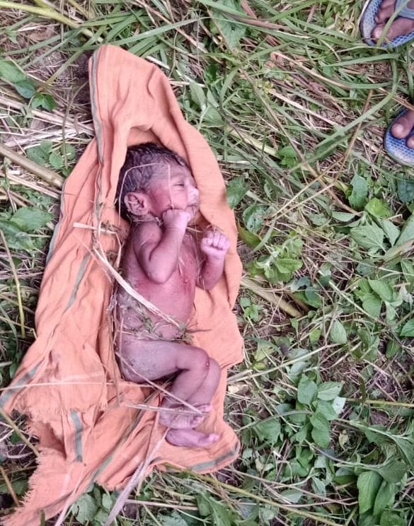 Newborn girl found wrapped in clothes in sugarcane field