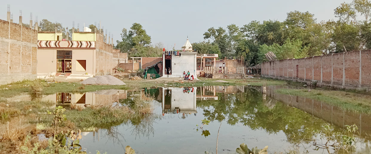 water managment failed, dengue spered