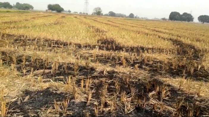 Satellite surveillance still burnt stubble and garbage