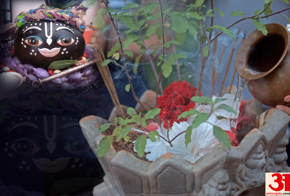 Devauthani Ekadashi 2020 Tulsi and Shaligram Vivha Vidhi in Hindi