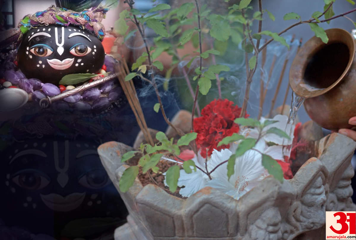 tulsi vivah 2021 date timing shubh muhurat shaligram and tulsi pujan vidhi significance of tulsi vivah