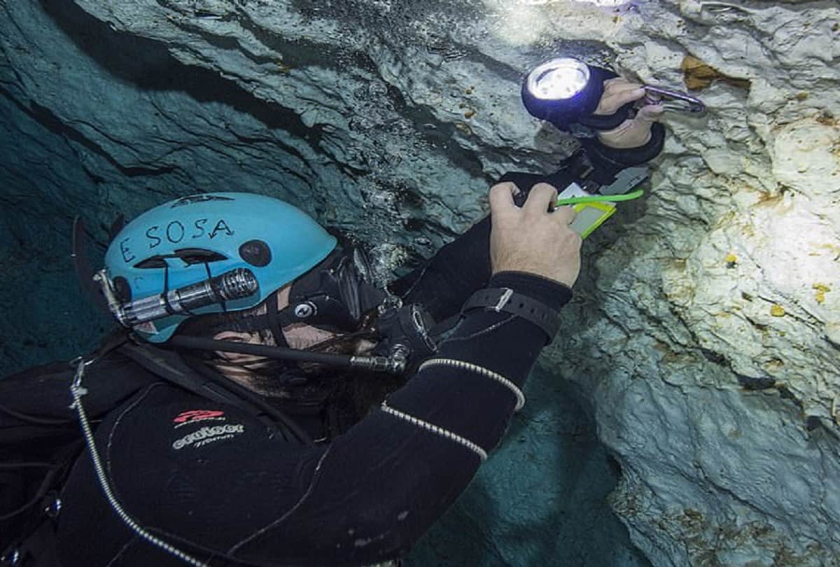 25 lakh year old shark dental fossils found in underwater sinkhole in gulf of mexico