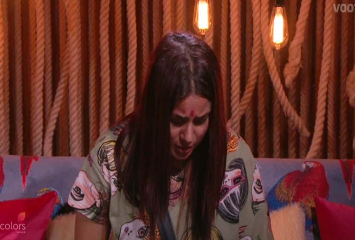Bigg Boss 13 Contestant Shehnaz gill Song Veham Viral on Youtube