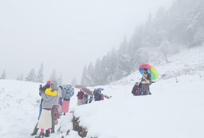 rain and snowfall prediction for three days in himachal pradesh, cold wave rise
