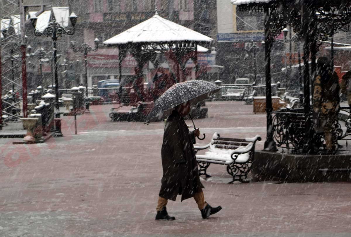 Avalanche and snowfall caused havoc, three dead including two army man on LoC, over 100 trees fell