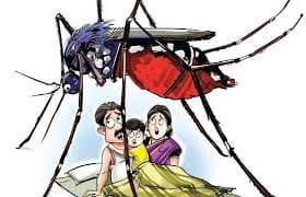 two mora patients of dengue found