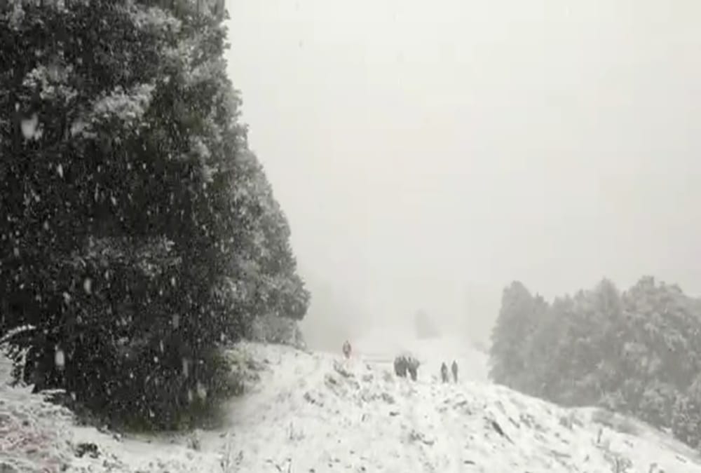 Snowfall in Auli After 15 years in november First Week and chardham Awesome Photos