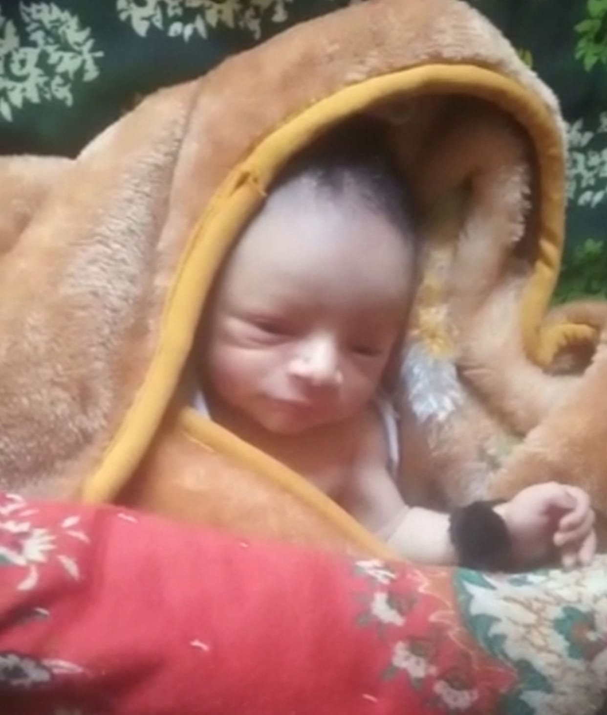 new born baby