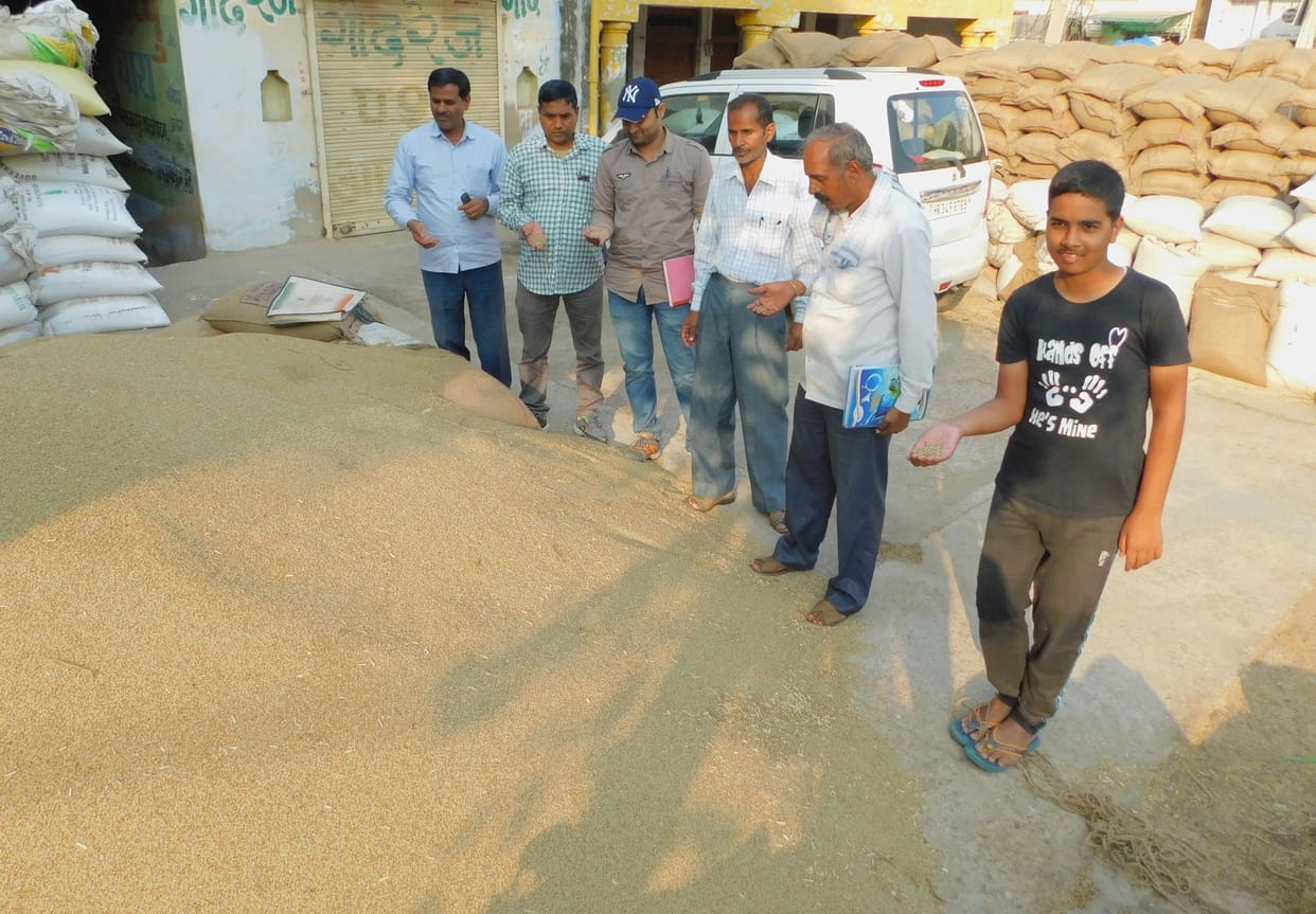 civic,problam,farmar,grain market,Pearl Millet