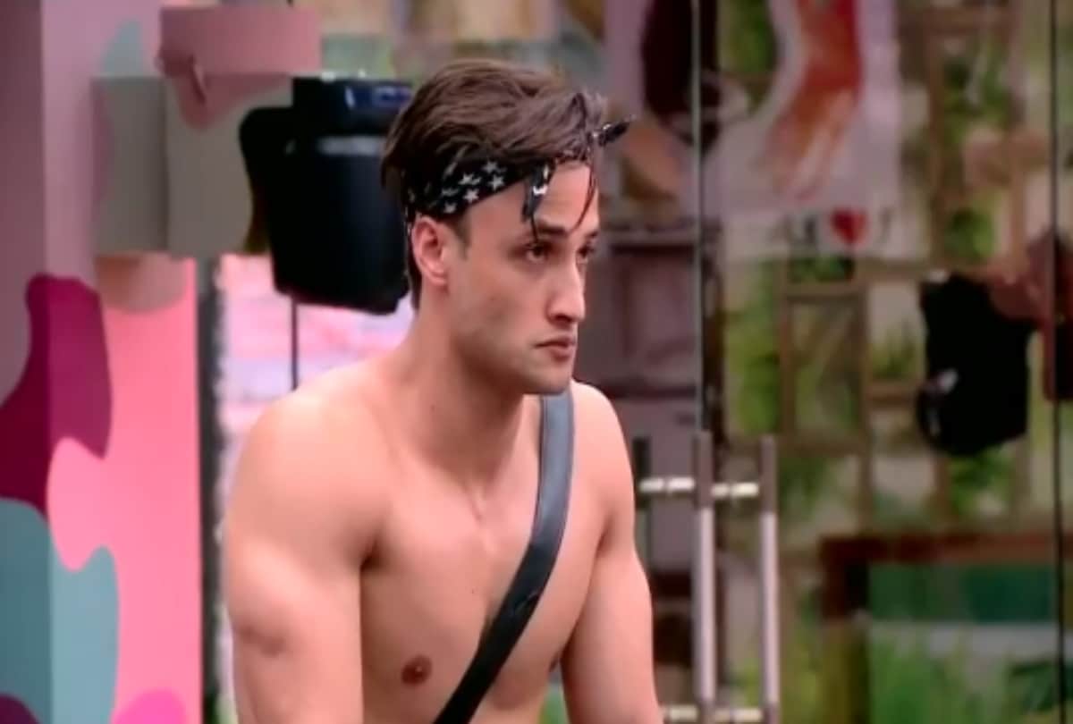Bigg Boss 13 asim riaz confirms album with jacqueline fernandez himanshi and bohemia