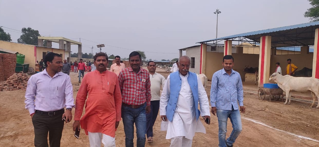 Horticulture will be done in Gaushala to extract the expenses