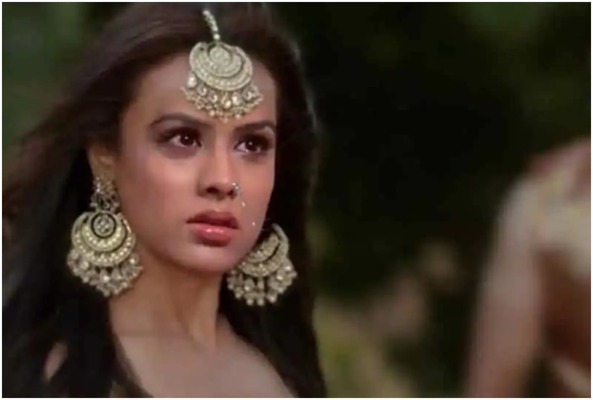 trp report this week bigg boss 13 and the kapil sharma show slips down