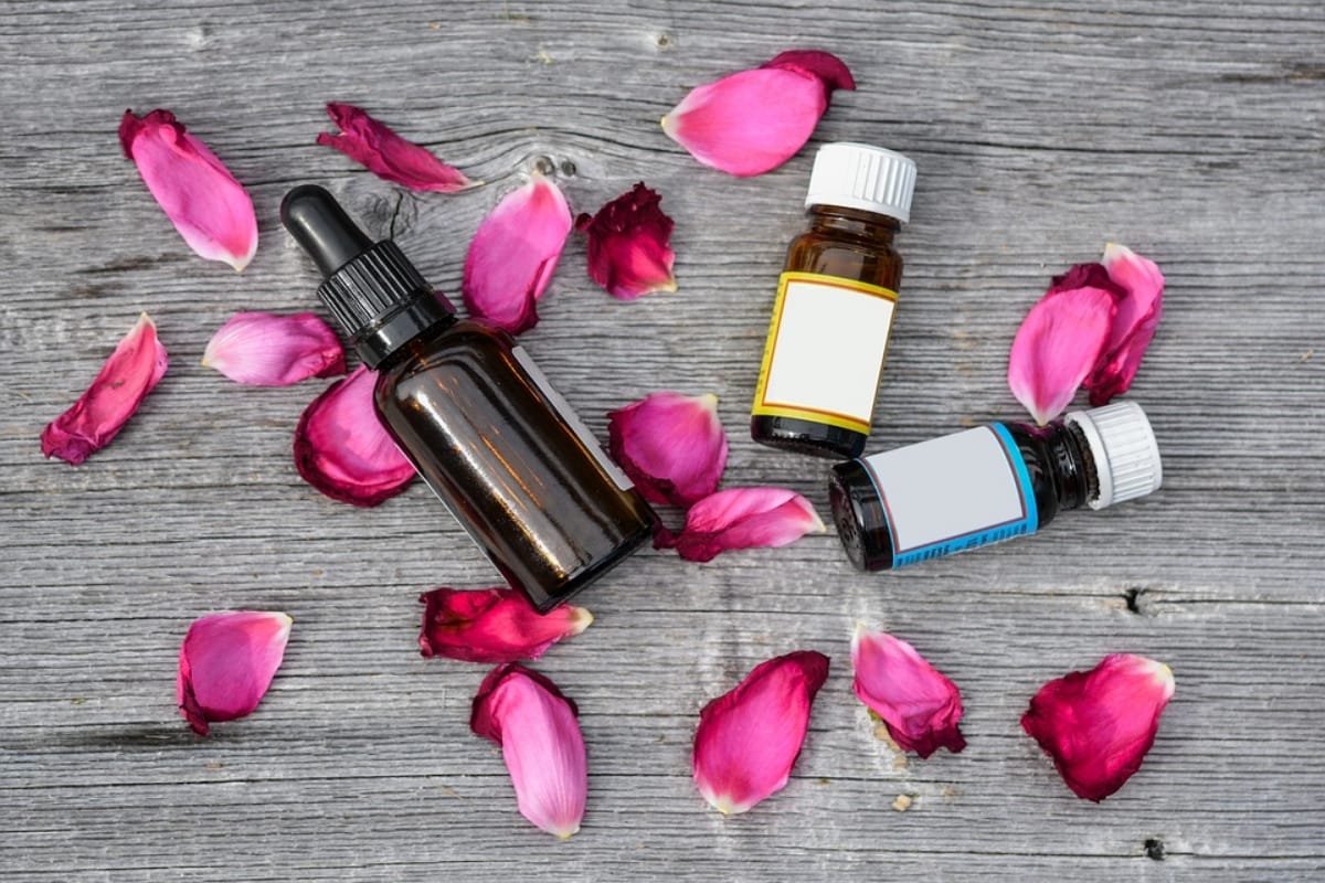 know how to make rose oil at home to make skin young