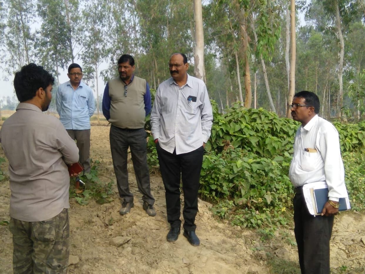 Action will be taken against the princes for negligence in development work
