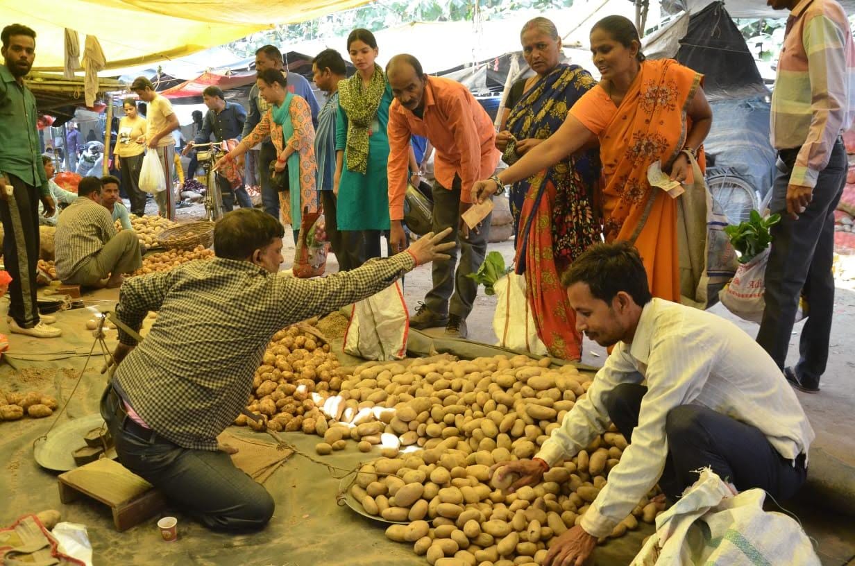 Potato price in markets of agra